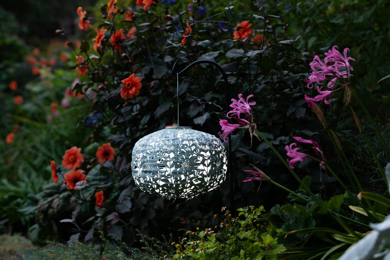 Allsop Home & Garden - Wholesale Outdoor/Lawn Light - Stella Square Sunflower 11" Solar Lantern - Sage10