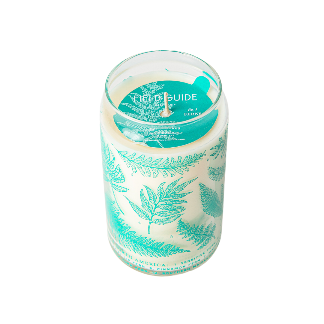 Good & Well Supply Co. - Wholesale Jar/Filled Candle - Ferns Soy Candle - Forest Floor Collection4