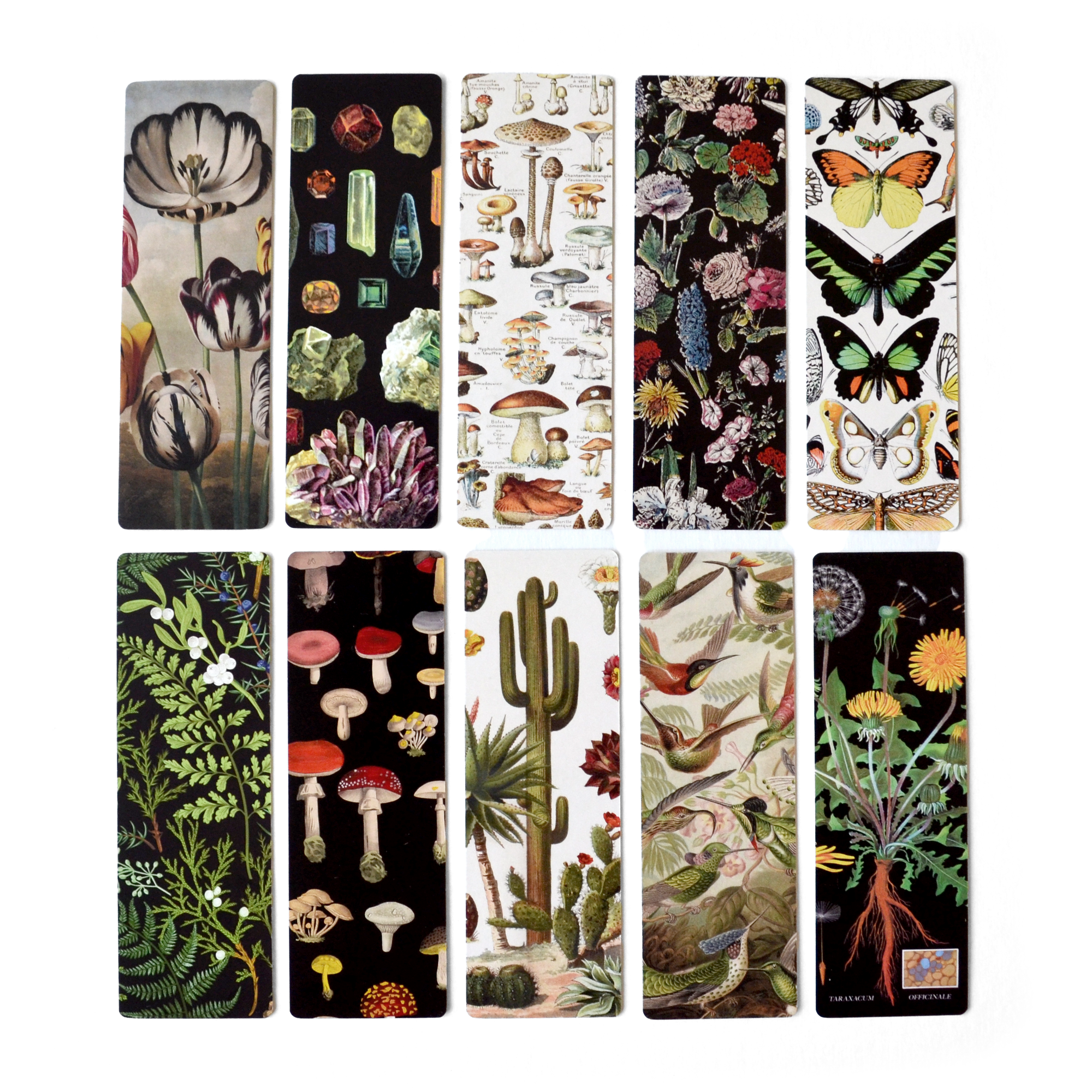 Curious Prints - Wholesale Bookmark - Dandelion Double-Sided Bookmark with Vintage Marbling2