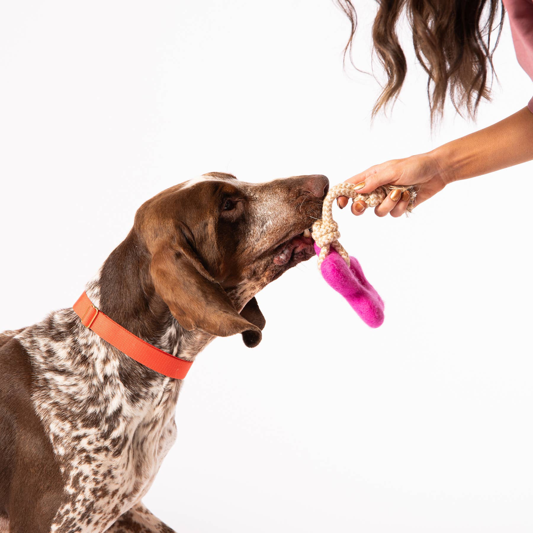 Awoo - Wholesale Pet Rope Toy - Dog - Pullin' Posies Felt Toy3