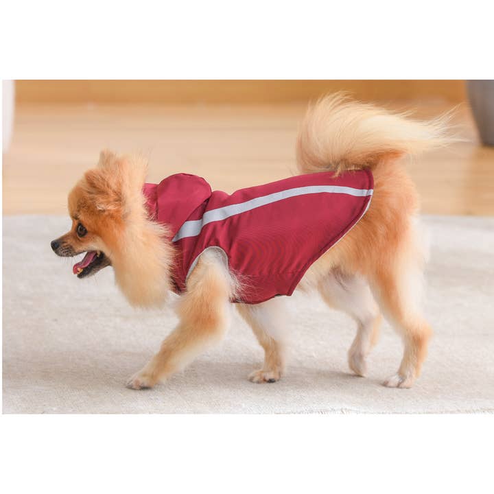 Amomi - Wholesale Pet Sweater - Dog - PET SWEATSHIRT 4 COLORS