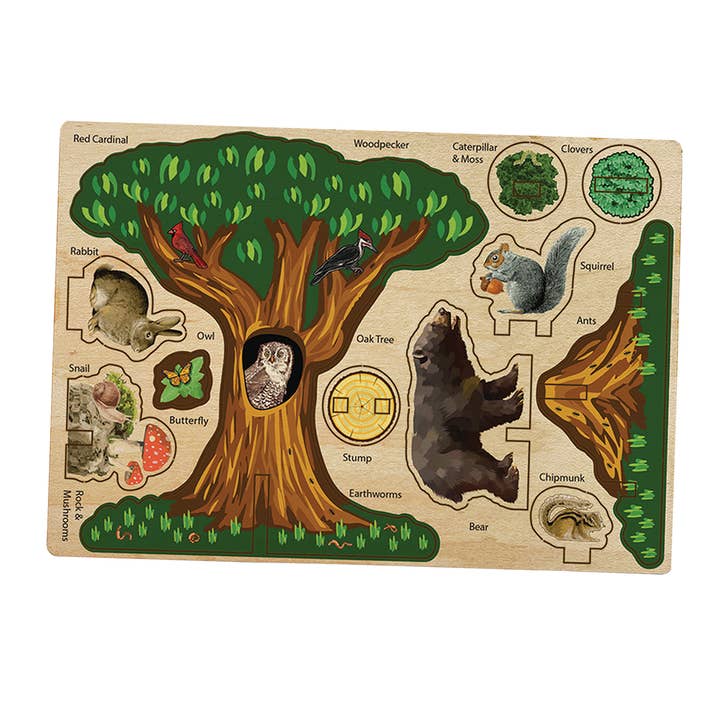 Channel Craft - Wholesale Wood Toy - Kids - Play-Wood Pop-Outs - Forest Friends1