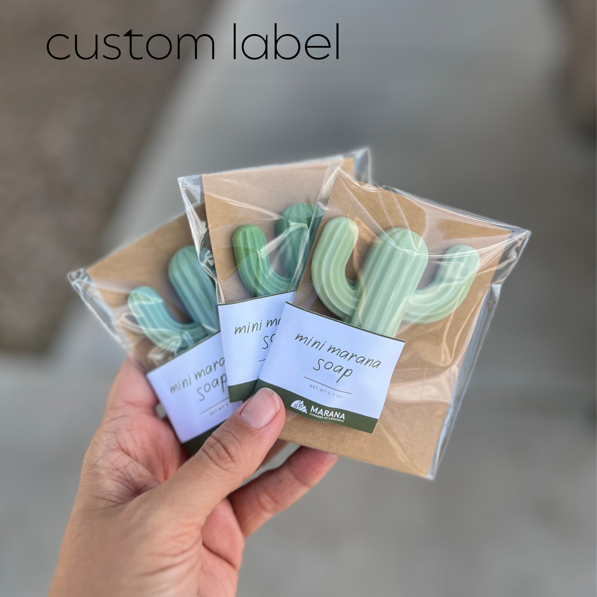 Naked Fig – sabonete sólido por atacado – Mini Sabonete para Cactus - Individual (individual)6