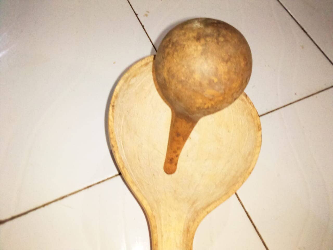 Delight merchants - Wholesale Decorative Tabletop Object - African calabash with its baby