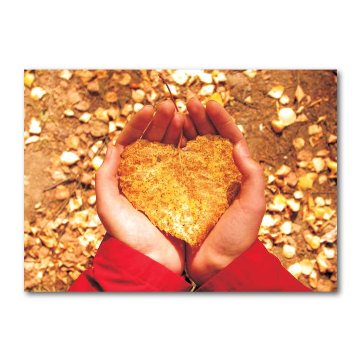 Postcard landscape coloured DIN A6 MG1342 for wholesale by Gutrath Verlag