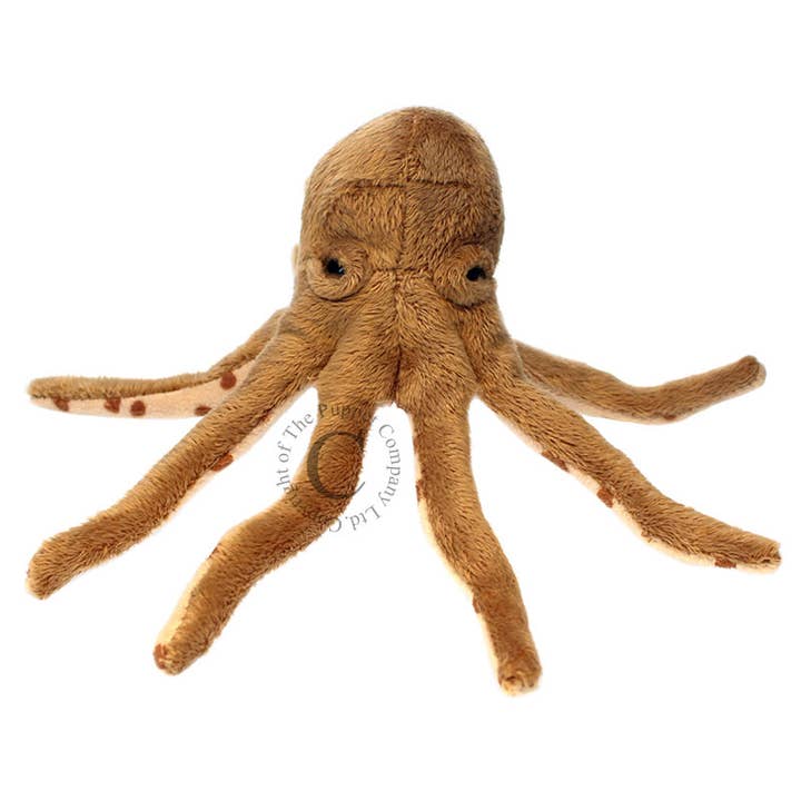 The Puppet Company (US) - Wholesale Finger Puppet - Kids & Baby - Finger Puppets: Octopus