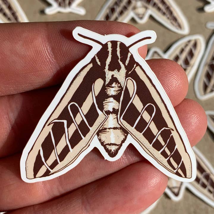 White-Lined Sphinx Moth – Die-Cut Sticker for wholesale by Salted Teeth