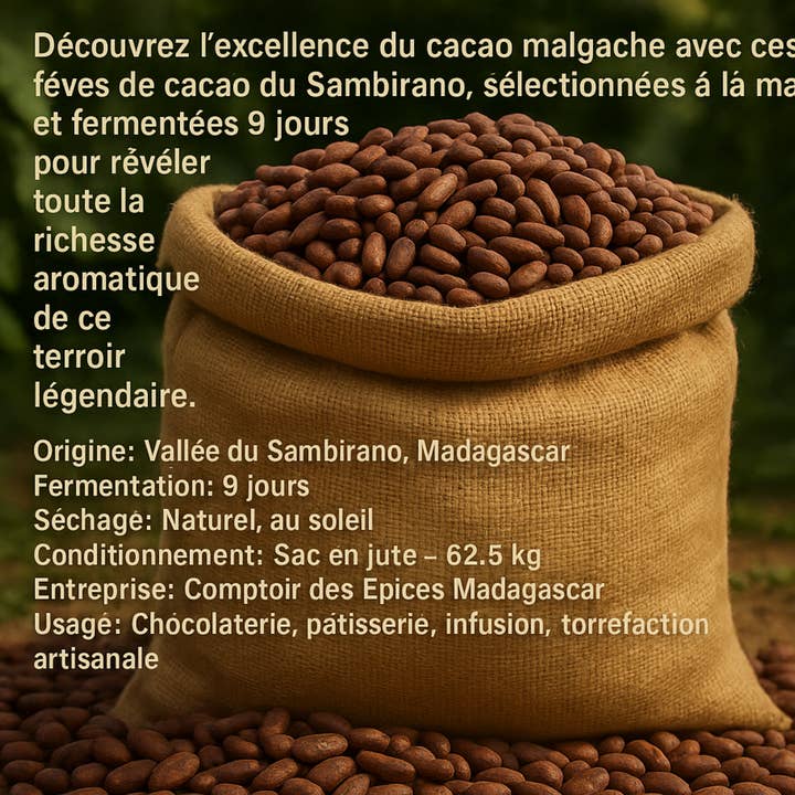 Comptoir Des Epices Madagascar - Wholesale Baking Chocolate - 62.5 kg | Superior Madagascar COCOA Beans8