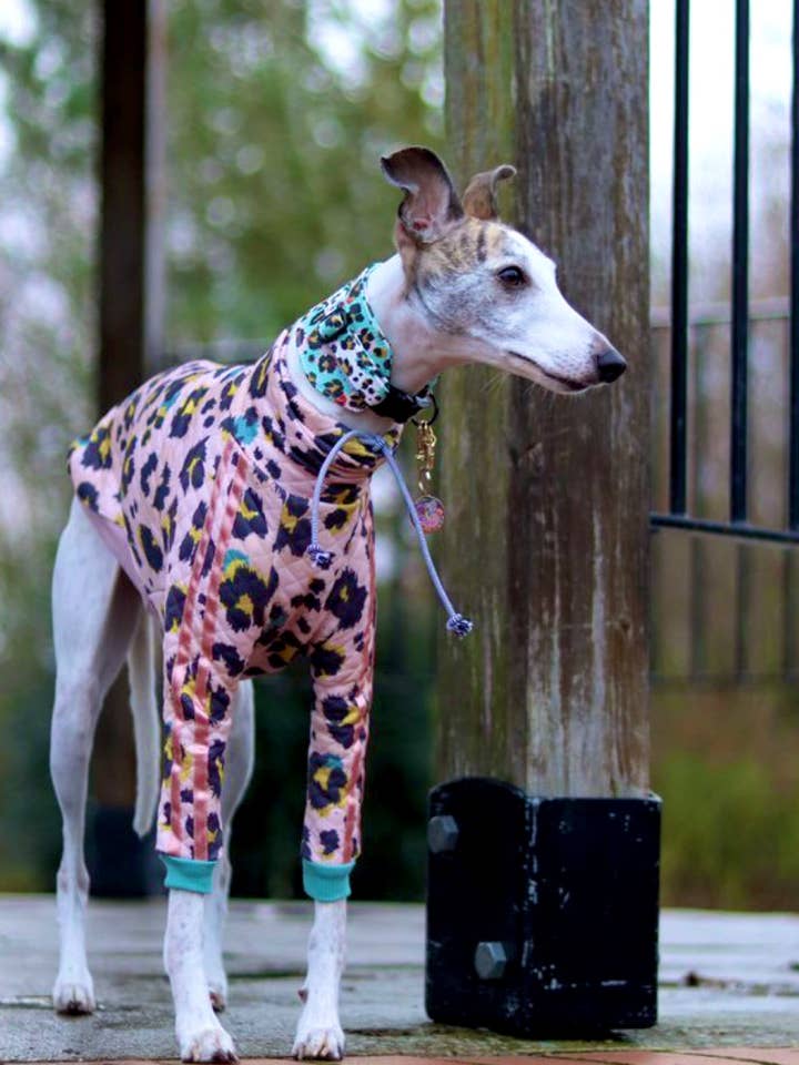 Dolce Drawstring Top BLUSH for wholesale by Bark Art Ltd