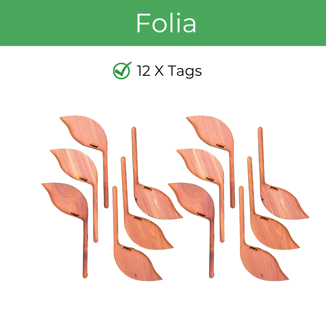 Treleaf - Wholesale Garden/Lawn Stake - Folia-Wooden plant tags-Leaf-shaped plant labels -Set of 126