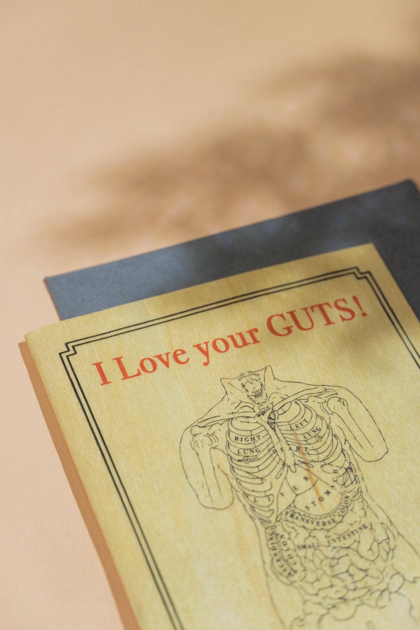 Spitfire Girl - Wholesale Love Card - Wood Folding Card - Anatomy Guts3