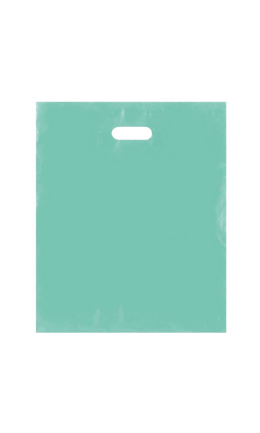 Store Supply Warehouse - Wholesale Gift Bag - Frosted Retail Merchandise Bags5