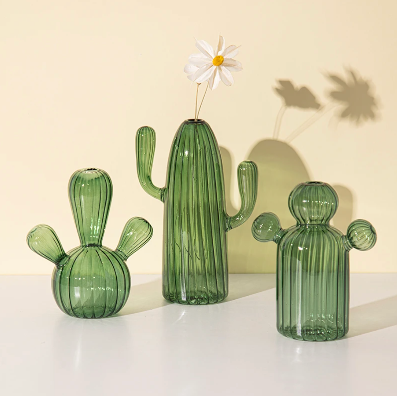 IVORE.GROUP (We cover All Import duty) - Wholesale Vase - Cactus Shaped Glass Hydroponics Plant Vase7