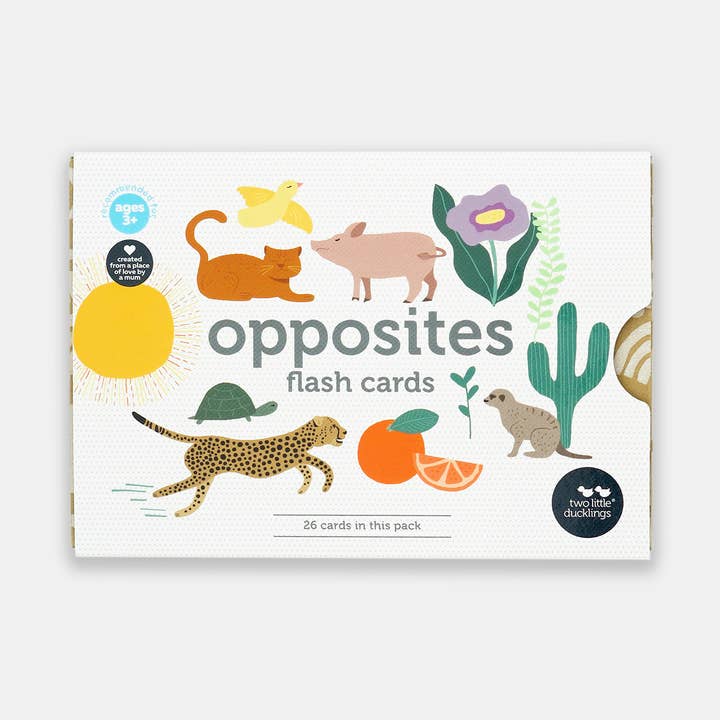 Two Little Ducklings - Wholesale Learning cards – Child & baby - Opposites Flash Cards0