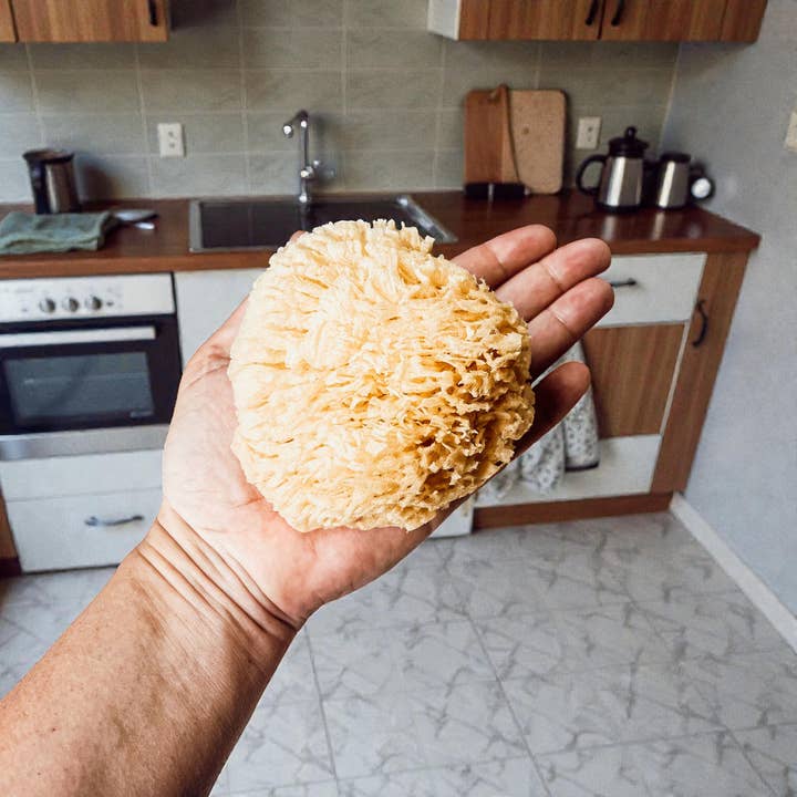 Gia Roma - Wholesale Bath Pouf/Sponge - Dead Sea Sponge, All Natural Body Wash Loofah 4-5"31