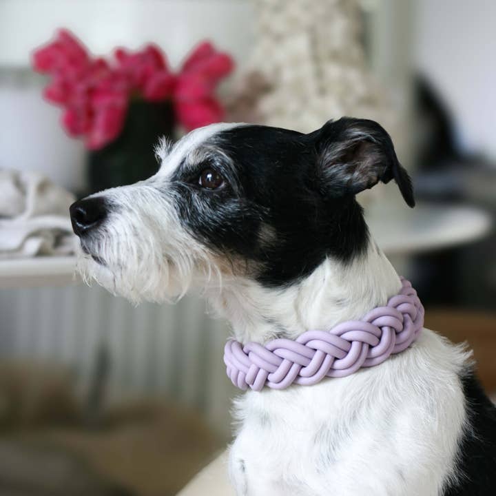 GASSI GLAMOUR - Wholesale Pet Collar - Dog - BioThane® Collar Lilac5