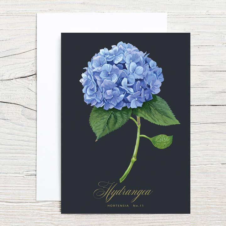 Tarjeta de notas individual Hydrangea Specimen de 5 x 7 para venta al por mayor de Brook Isle