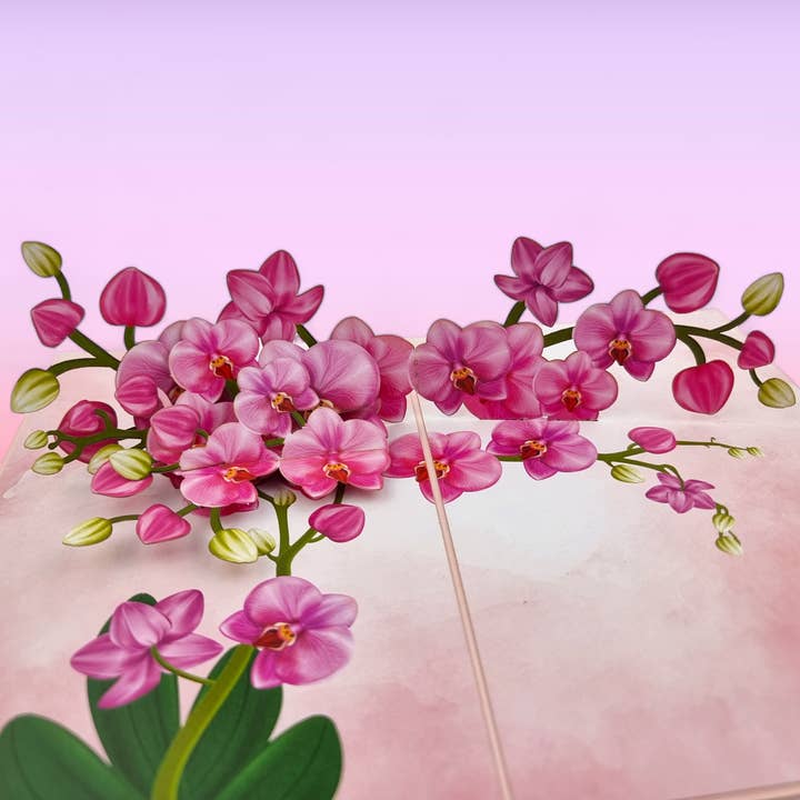 Pink Orchids Pop Up Card for wholesale by Color Pop Cards
