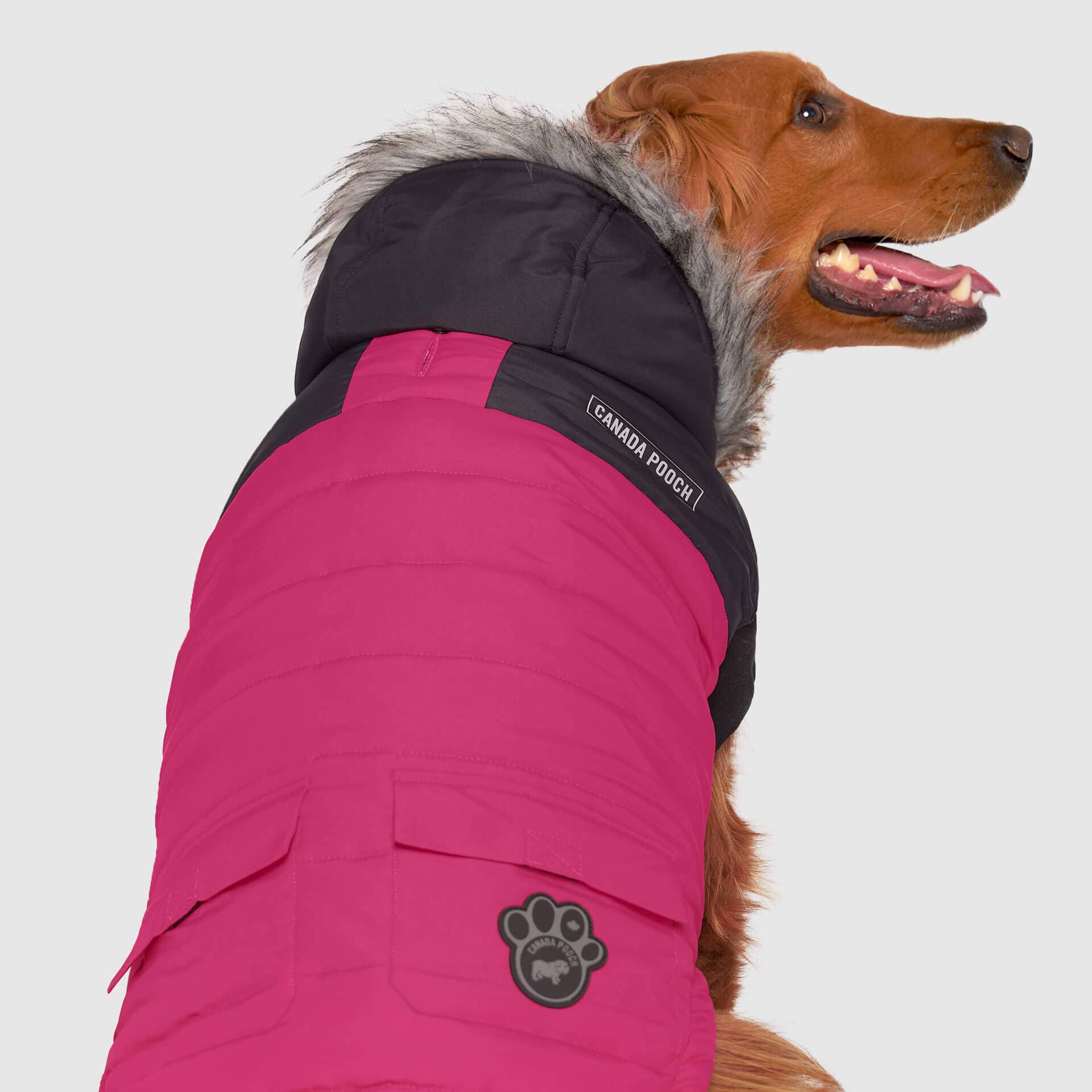 Canada Pooch - Vendita all'ingrosso Cappotto - Cani - Parka invernale True North per cani12