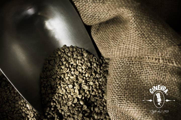 Caffè Ginevra SRL - Wholesale Instant Coffee/Espresso - Espresso Moka 500 g - Coffee beans4