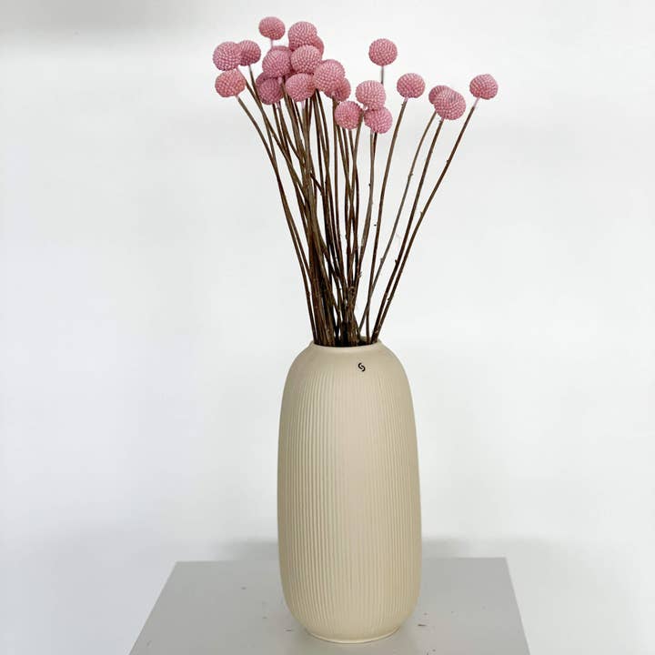 Oasis of Life - Wholesale Dried/Pressed Flowers - Craspedia – Drumsticks – Dried & preserved dried flowers (30–40cm) – In white, yellow, pink, purple, apricot, blue, orange, red, or brown – 1 stem or bunch of 5 pieces – Long-lasting & maintenance-free15