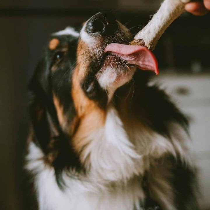 Naked Beasts, Inc. - Wholesale Pet Treats - Dog - Sheep Trotter - Limited Edition5