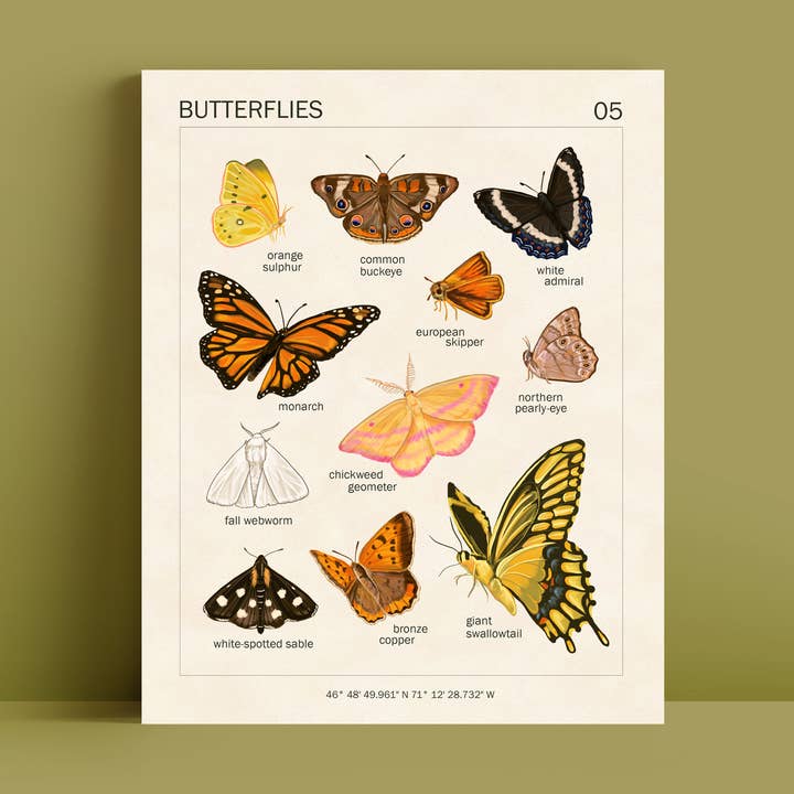 Butterfly Art Print | 8x10'' | Vintage Botanical Wall Art for wholesale by Doro Marcello