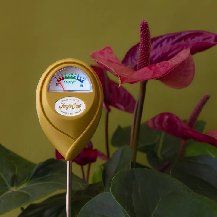 Moisture Meter | Green for wholesale by Jungle Club