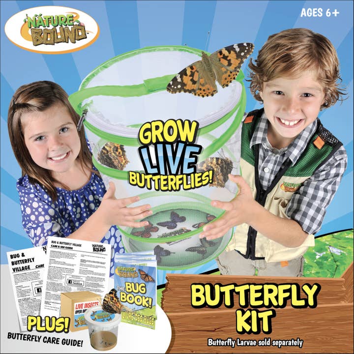 Thin Air Brands - Wholesale Toy Set - Kids - Butterfly Kit in PDQ2