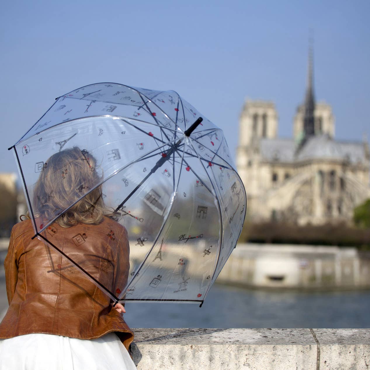 SMATI - Wholesale Umbrella – Women's - Long Transparent Umbrella Paris Symbols2