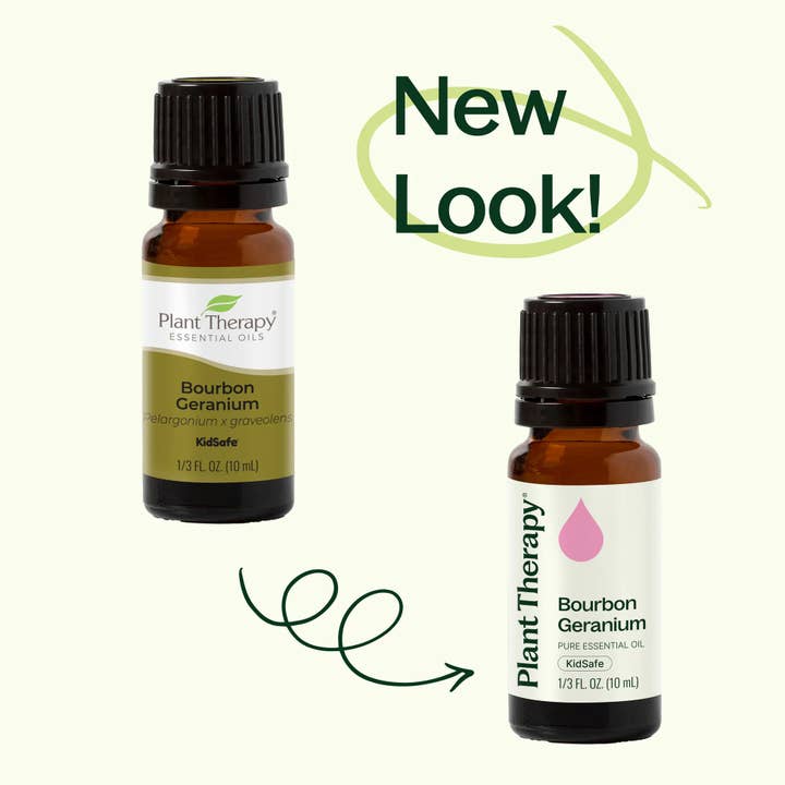 Plant Therapy - Wholesale Essential Oil - Bourbon Geranium Essential Oil 10 mL