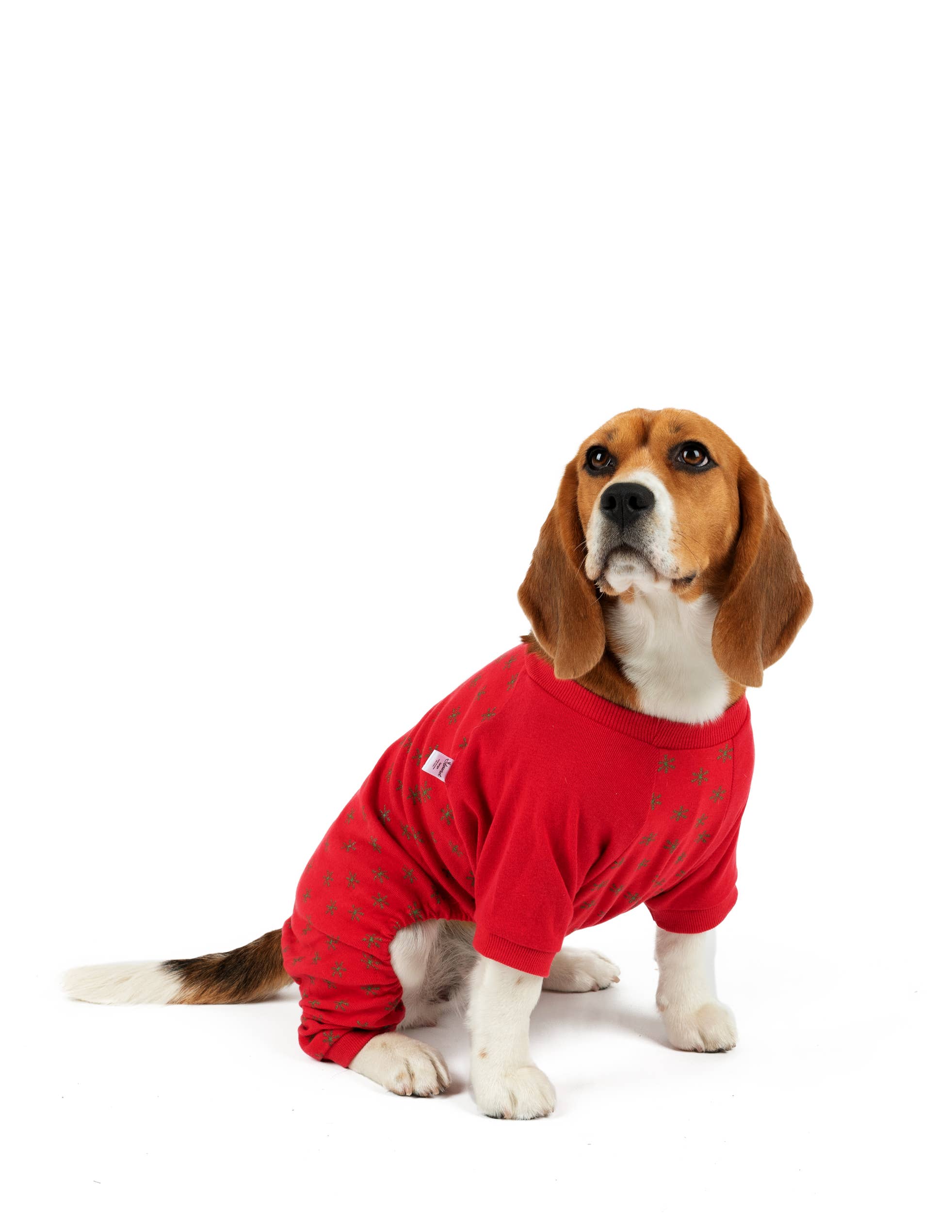Leveret Pajamas – Großhandel Haustierpyjama – Hund – Hundebaumwoll-Pyjama mit Muster46