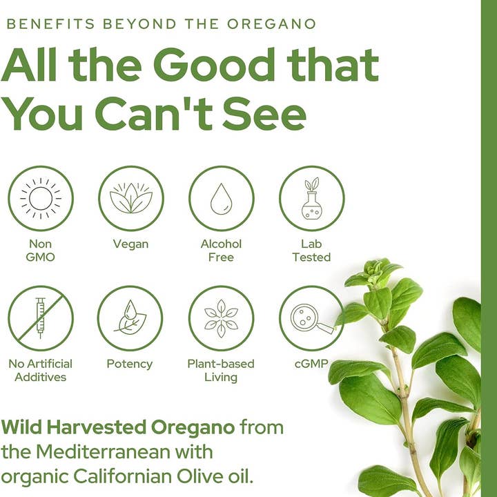 Plant of Life – Engroshandel Aromaterapi lotion/olie – Plant of Life Vild Oreganoolie – 6 måneders forbrug – 30 ml (1 oz)3