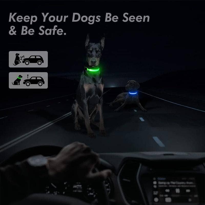 VIGOR – wholesale Halsband - Hund – Reflekterande LED-halsband för hundar13