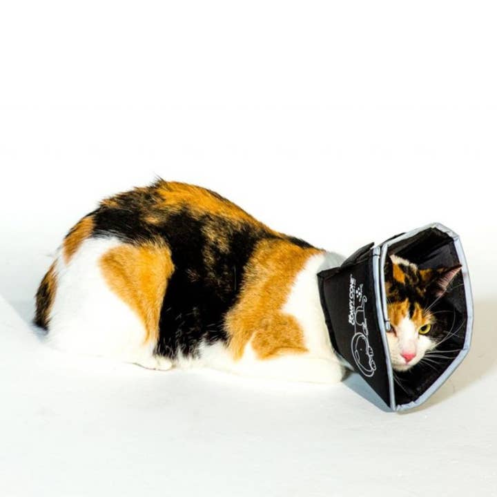 All Four Paws - Wholesale Pet Collar - Cat/Dog - S-The Original Comfy Cone