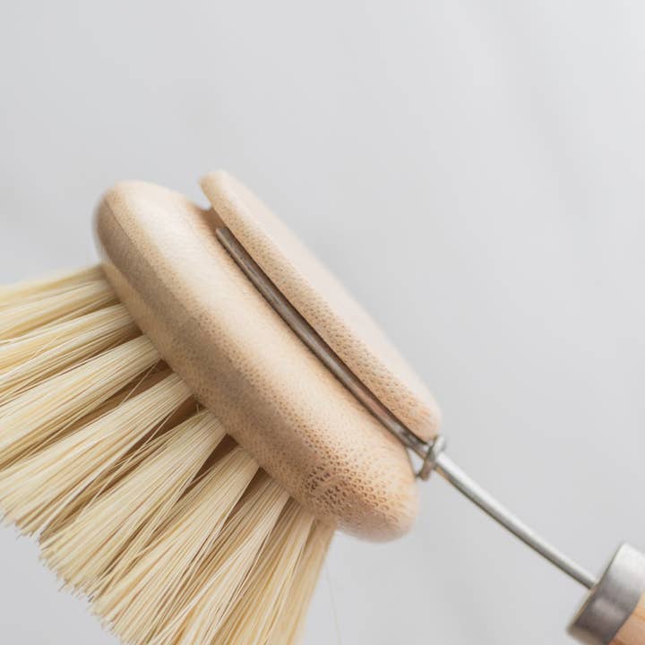 No Tox Life - Venta al por mayor Cepillos de limpieza - Cepillo para platos CASA AGAVE® con mango largo y cabezal reemplazable - No Tox Life4