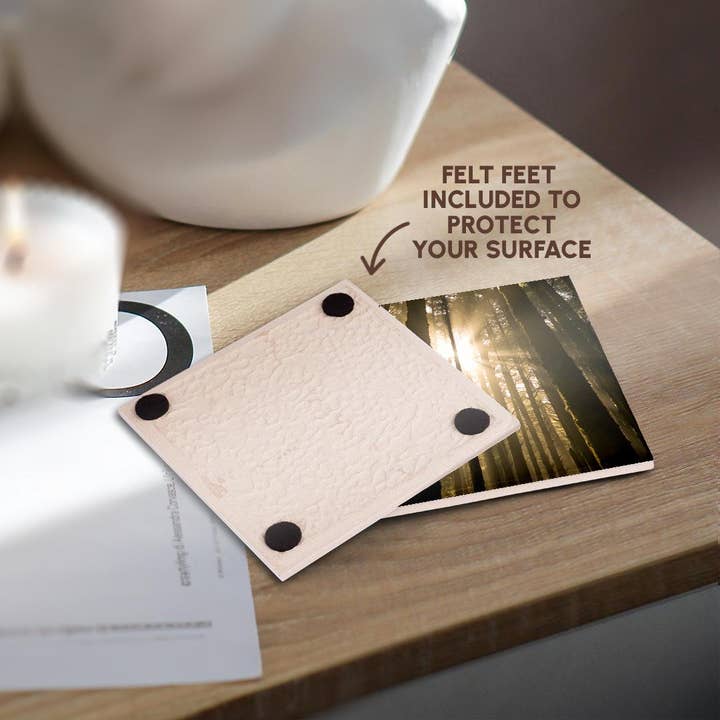 3dRose - Wholesale Coasters - 3dRose, Sunbeam in wooded rainforest, Olympic NP, WA, USA, Coaster3