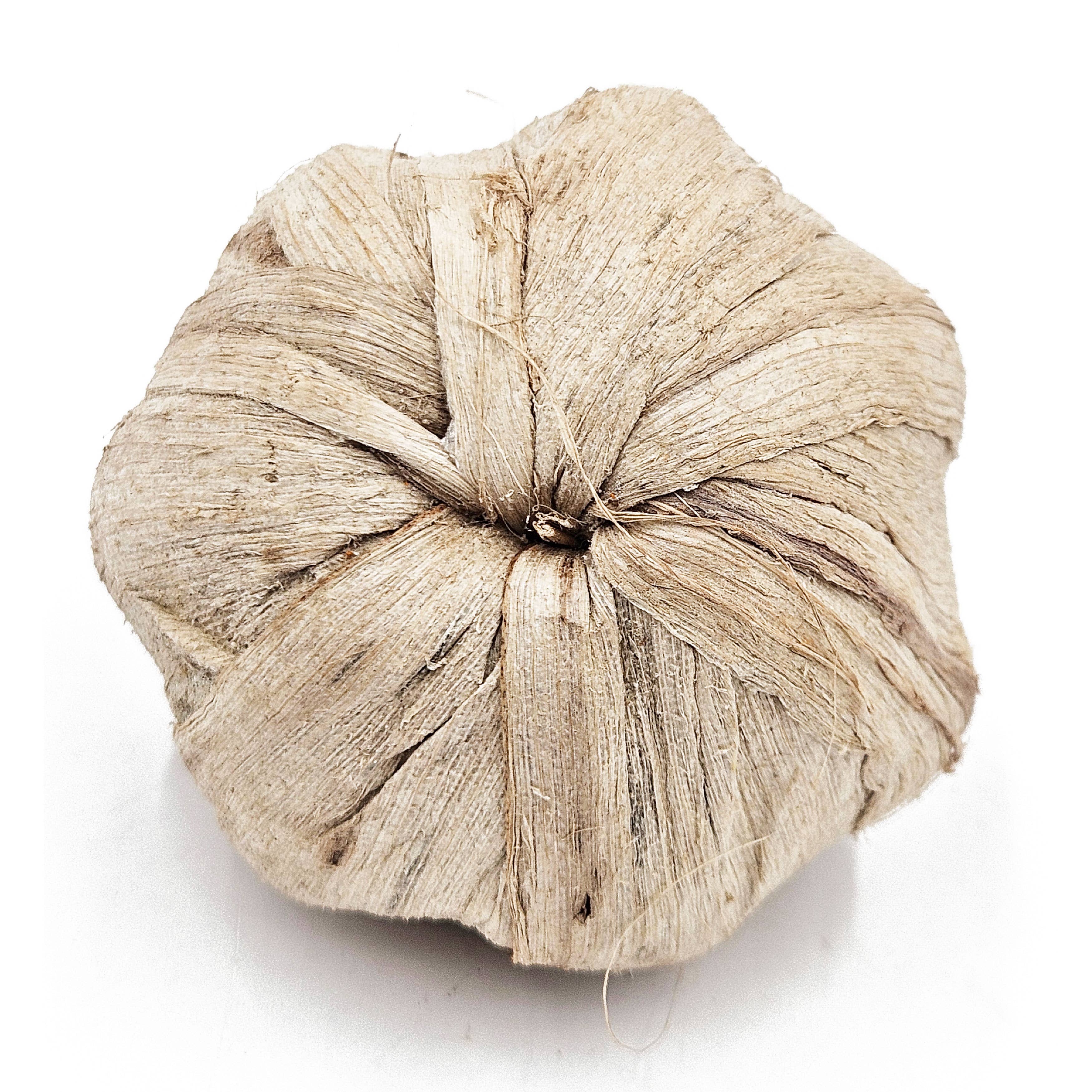 A&B Home Group Inc. - Wholesale Decorative Tabletop Object - 8.5" 10Pcs/Bag Pumpkin Pod Decor 12BAG/CTN4