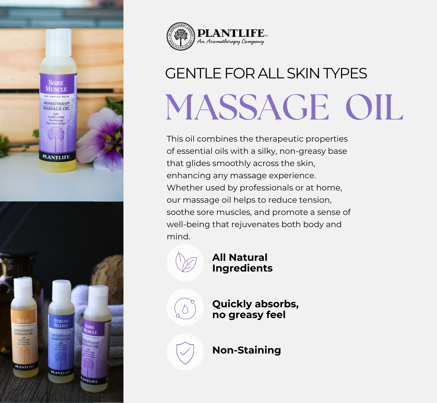 Plantlife – wholesale Essential oil – Arnica Relieve Oil Bulk Sizes2