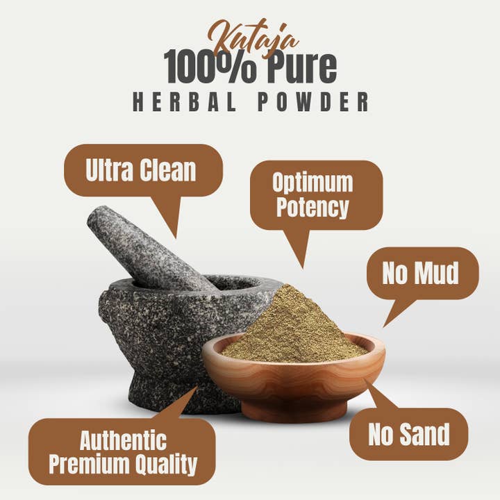 HerbsForever - Wholesale Protein/Superfood Powder - Kutaja Powder Holarrhena Antidysenterica Non GMO Vegan1