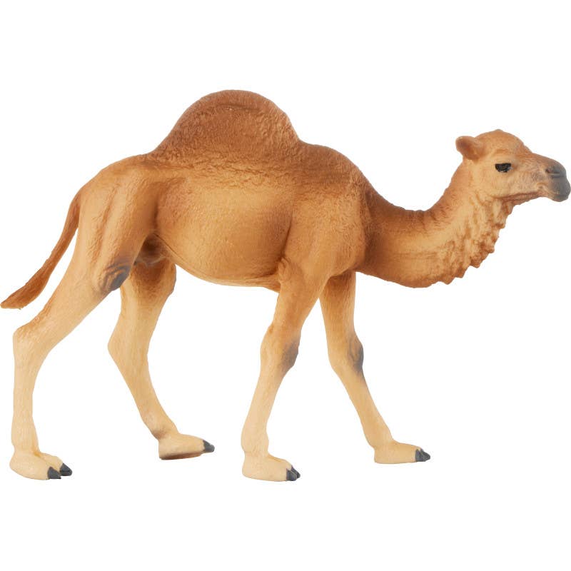 Precious Moments - Wholesale Figurine Toy - Kids - Animal Quest 8 Piece Display - Hooved Mammals 1 Figurines6