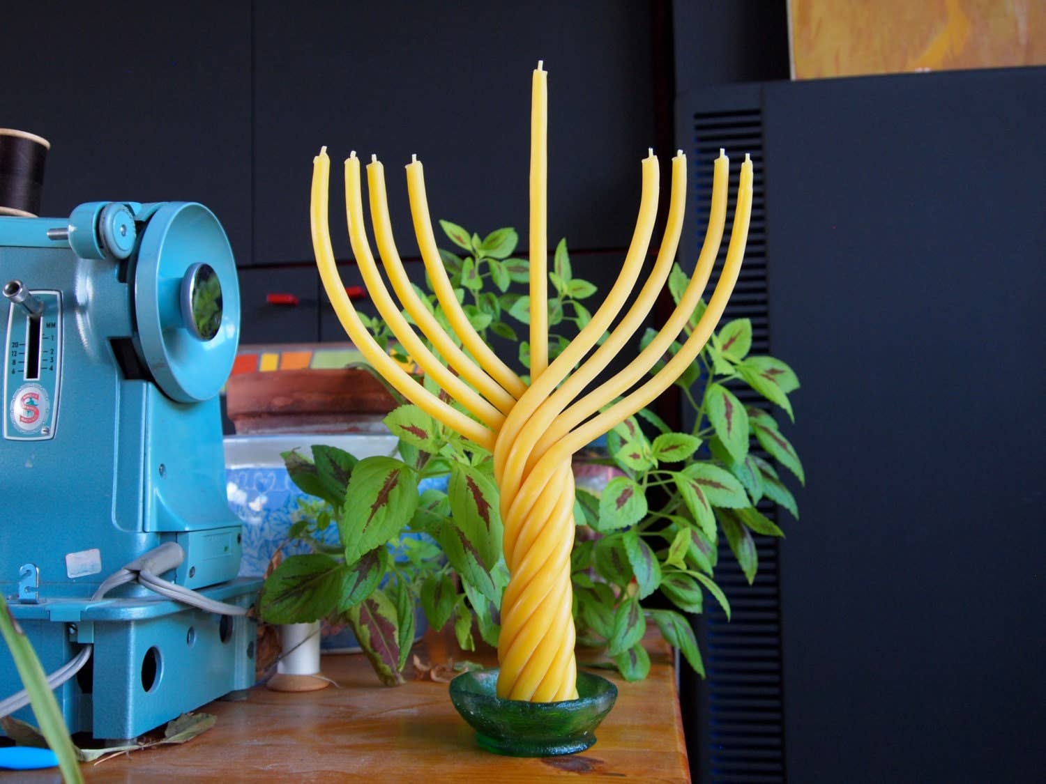 Mile-End Soap & Candle Supply - Wholesale Tapered Candle/Candlestick - Beeswax Hanukkah Menorah Candle - Hanukkah Candles2