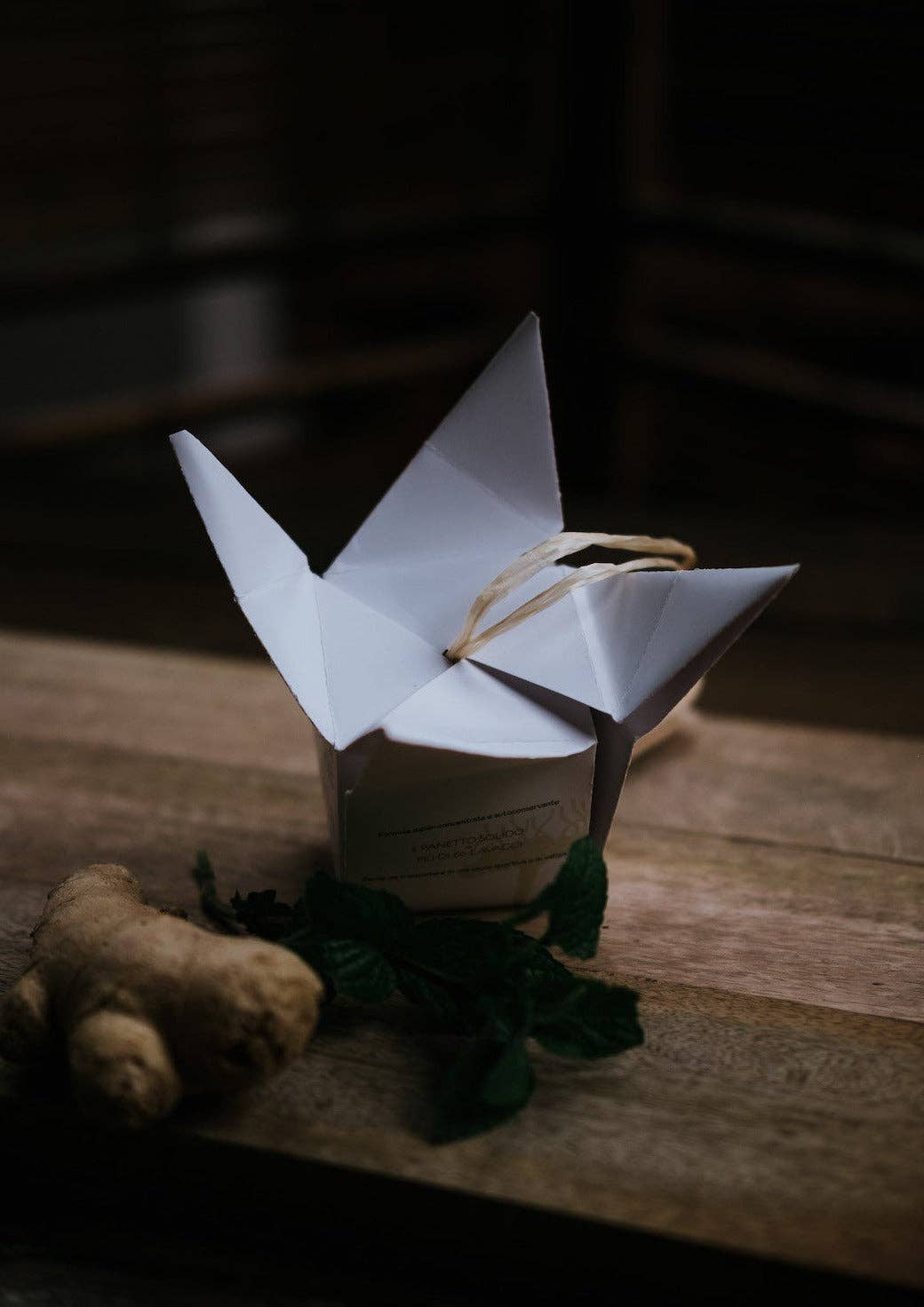 Ethical Grace - Wholesale Shampoo Puck/Solid Shampoo - Solid Shampoo 2 In 1 Gengevo1