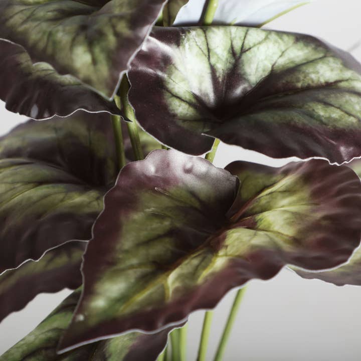 B&B - Wholesale Plant Pot - Plant, Plastic, Green Color, 29X23X36cm1