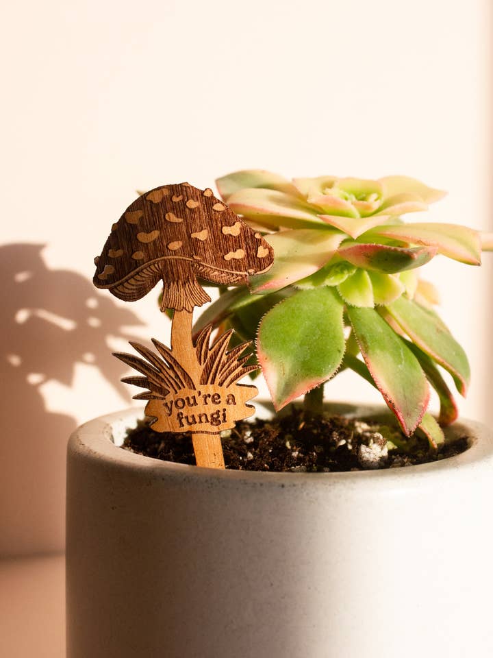 You're a Fungi Mushroom Wood Plant Pick for wholesale by Hereafter