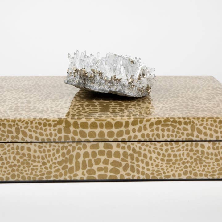 Gold Crocodile Box for wholesale by ROX GALLERY