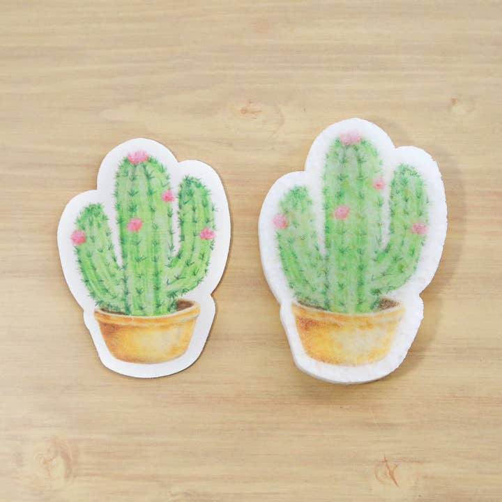 Éponge rémanente Cactus pour la vente par Eco Beige