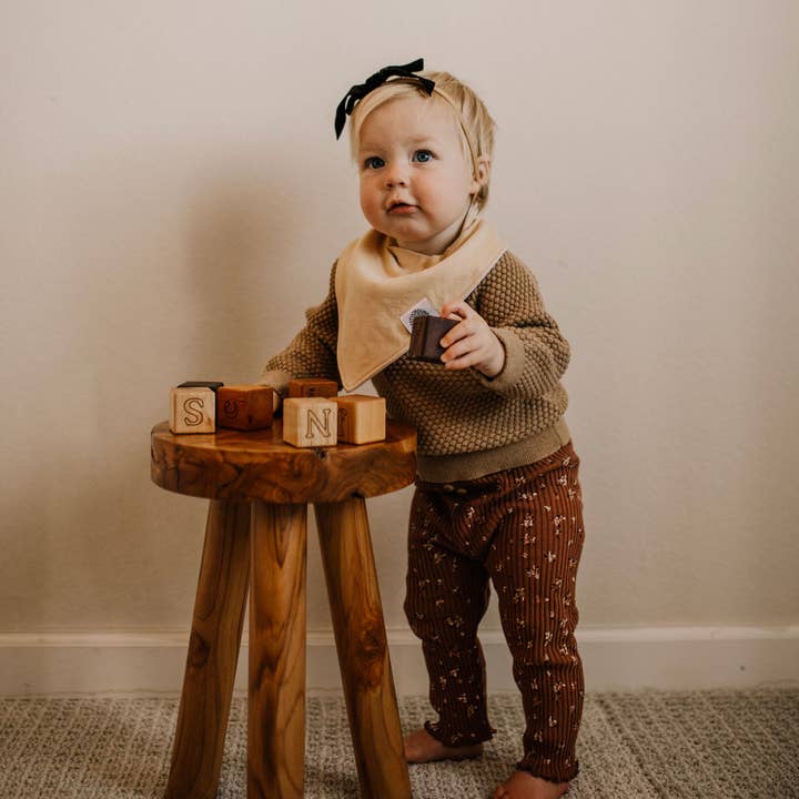 Parker Baby Co. - Wholesale Bandana bib - Vail Bandana Bib Set (8 pack)8