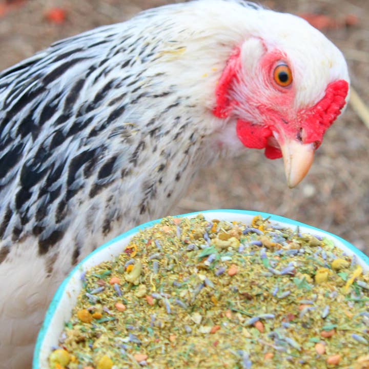 Dahlia Pets – Großhandel Nahrungsergänzungsmittel für Haustiere – nicht für Katzen/Hunde – Duft von Frühlingsbrüten für Hühner im Hinterhof mit Lavendel, Kamille, Ringelblume und vielem mehr!5