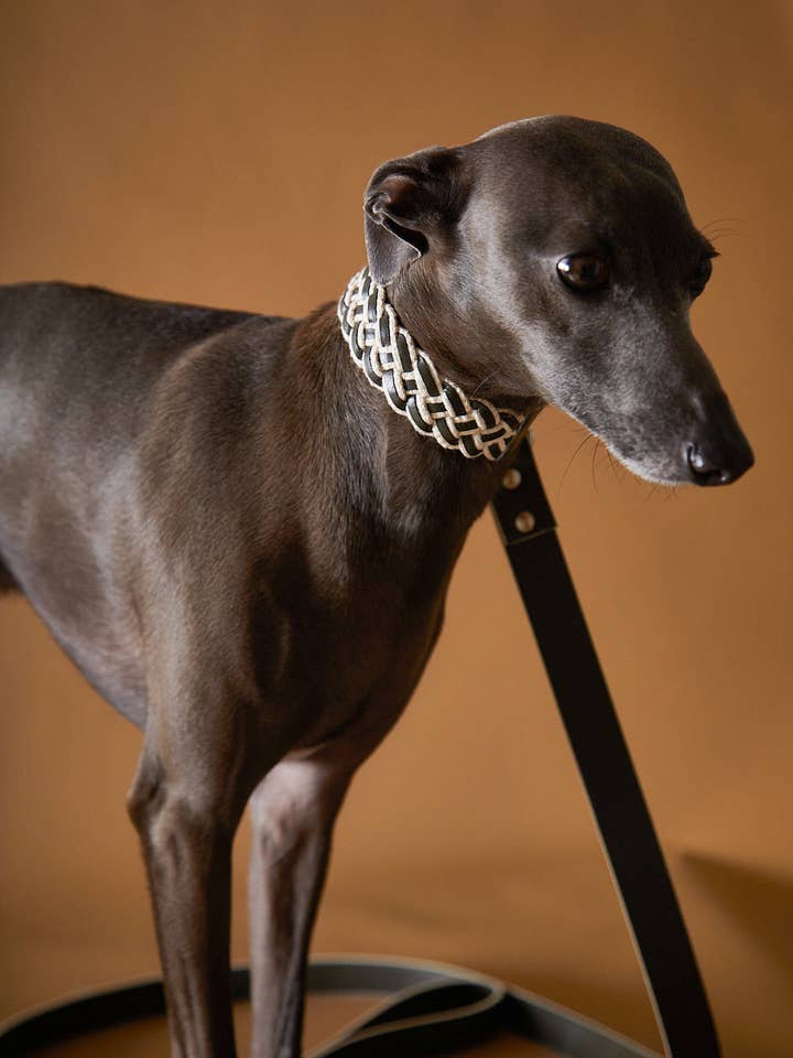 Set aus Lederhalsband und Leine ÉTOILE für den Großhandel von The Striped Dog